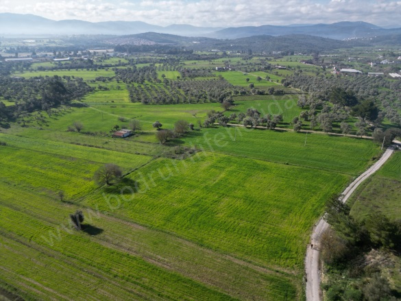 Çömlekçi Mah. Bodrum Satılık Tarla |  6712M2 10.070.000Tl Resim-2