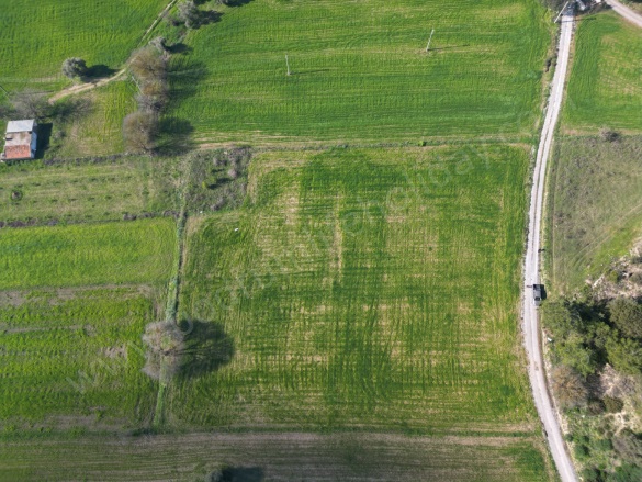 Çömlekçi Mah. Bodrum Satılık Tarla |  6712M2 10.070.000Tl Resim-3