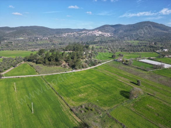 Çömlekçi Mah. Bodrum Satılık Tarla |  6712M2 10.070.000Tl Resim-4