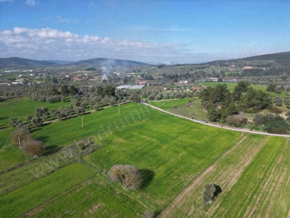 Çömlekçi Mah. Bodrum Satılık Tarla |  6712M2 10.070.000Tl Resim-5