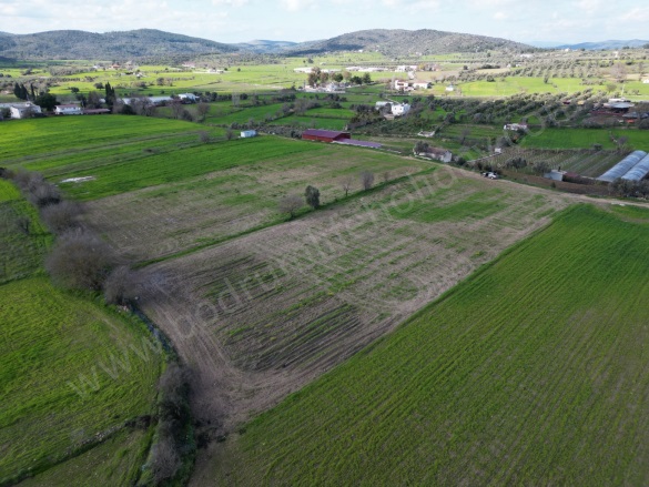 Çömlekçi Mah. Bodrum Satılık Tarla |  5860M2 9.350.000Tl Resim-1