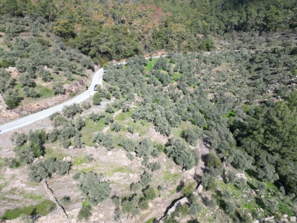 Çömlekçi Mah. Bodrum Satılık Tarla |  2206M2 3.300.000Tl Resim-2