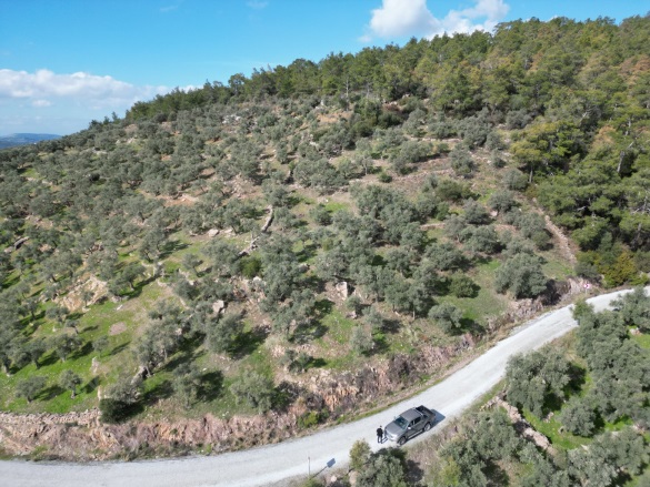 Çömlekçi Mah. Bodrum Satılık Tarla |  3737M2 6.750.000Tl Resim-2