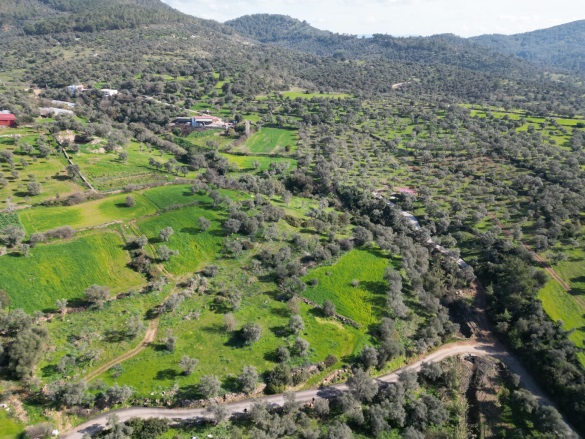 Çömlekçi Mah. Bodrum Satılık Tarla |  3152M2 5.500.000Tl Resim-4
