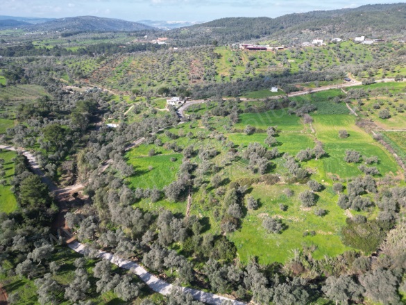 Çömlekçi Mah. Bodrum Satılık Tarla |  3152M2 5.500.000Tl Resim-5