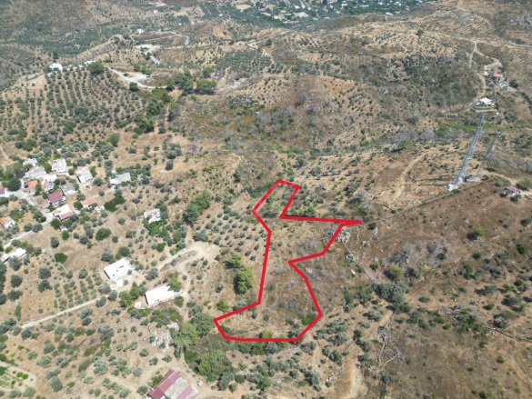 Mazıköy Mah. Bodrum Satılık Tarla |  6873M2 19.000.000Tl Resim-2