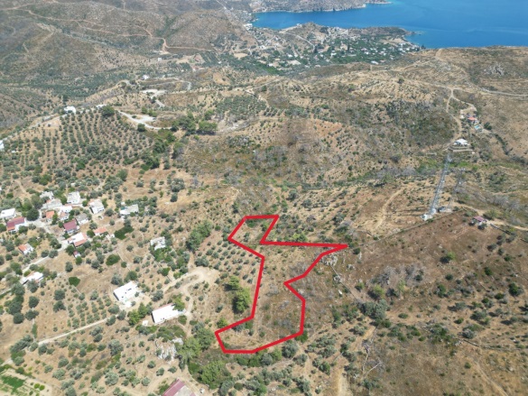 Mazıköy Mah. Bodrum Satılık Tarla |  6873M2 19.000.000Tl Resim-3