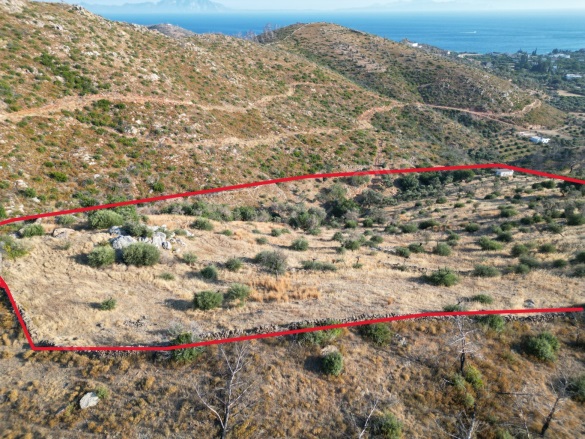 Mazıköy Mah. Bodrum Satılık Tarla |  25180M2 80.000.000Tl Resim-2