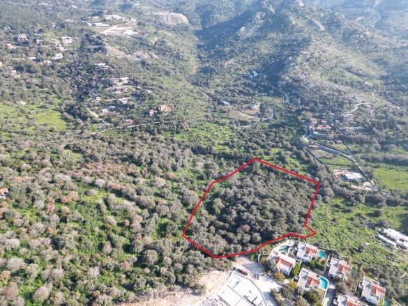 Yalıkavak Mah. Bodrum Satılık Tarla |  15425M2 200.000.000Tl Resim-2