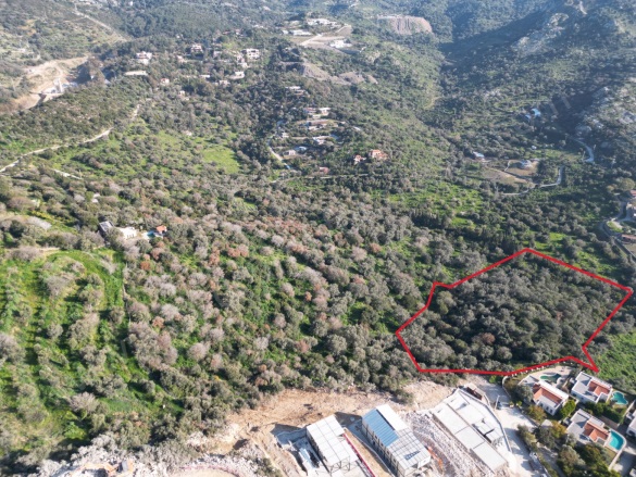 Yalıkavak Mah. Bodrum Satılık Tarla |  15425M2 200.000.000Tl Resim-4