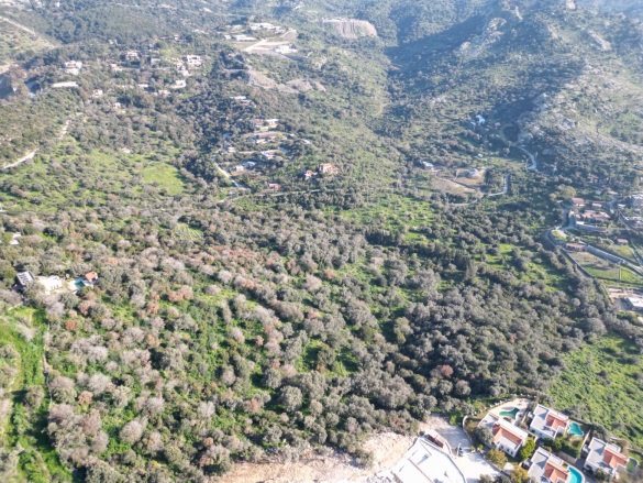 Yalıkavak Mah. Bodrum Satılık Tarla |  15425M2 200.000.000Tl Resim-5