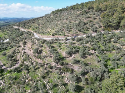 Bodrum Mumcular Çömlekçide 2 206 M2 Satılık Tarla Zeytinlik Çömlekçi Mah