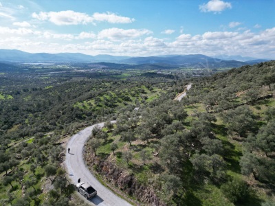 Bodrum Mumcular Çömlekçide 3 737 M2 Satılık Tarla Zeytinlik Çömlekçi Mah