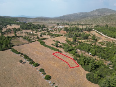 Bodrum Mazıda 1 022 M² Satılık Tarla ! 📍 Mazıköy Mah