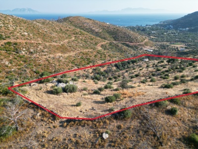 Bodrum Mazıda 25 180 M² Zeytinlik Satılık Tarla Tarla!  Mazıköy Mah