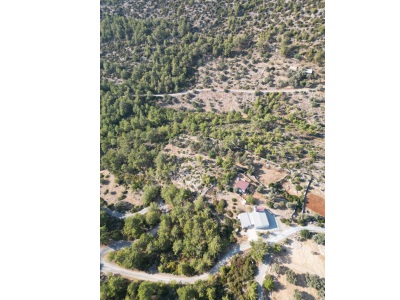 Bodrum Yalıçiftlikte Satılık Tarla 1 256 M² Zeytinlik Çiftlik Mah