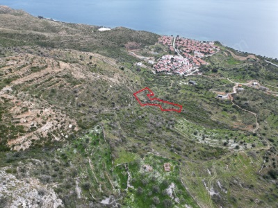 Satılık Tarla Milas Bozalan 2 334 M² Mah