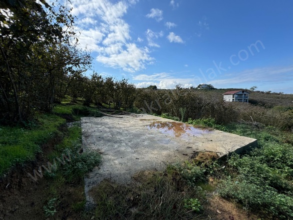 Beyhanlı Köyü Akçakoca Satılık Arsa |  1100M2 4.400.000Tl İmarlı  Resim-2