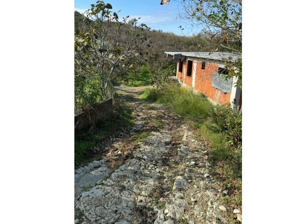 Beyhanlı Köyü Akçakoca Satılık Arsa |  1100M2 4.400.000Tl İmarlı  Resim-3