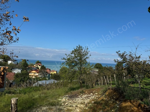 Beyhanlı Köyü Akçakoca Satılık Arsa |  1100M2 4.400.000Tl İmarlı  Resim-4