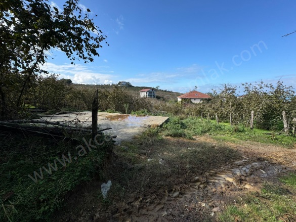 Beyhanlı Köyü Akçakoca Satılık Arsa |  1100M2 4.400.000Tl İmarlı  Resim-5