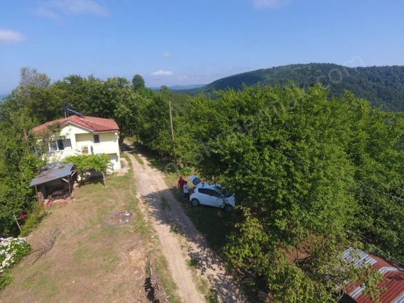 Deredibi Köyü Akçakoca Satılık Arazi |  19000M2 5.250.000Tl İmarlı  Resim-2