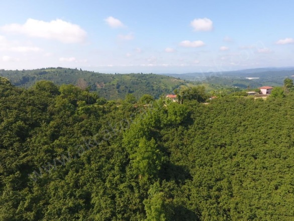 Deredibi Köyü Akçakoca Satılık Arazi |  19000M2 5.250.000Tl İmarlı  Resim-3