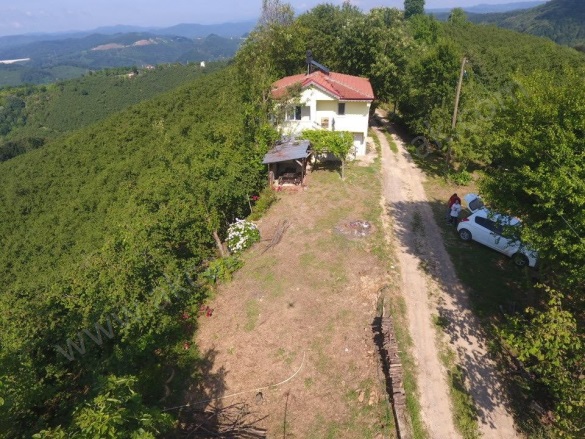 Deredibi Köyü Akçakoca Satılık Arazi |  19000M2 5.250.000Tl İmarlı  Resim-4