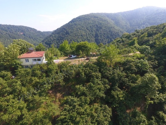 Deredibi Köyü Akçakoca Satılık Arazi |  19000M2 5.250.000Tl İmarlı  Resim-5