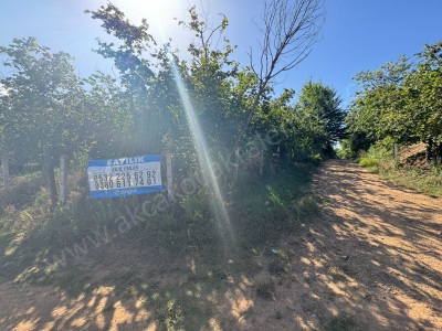 Doğancılar Da 10 334 M2 Deniz Manzaralı Satılık Arazi Fındık Bahçesi Akçakoca Mah-Doğancılar Köyü