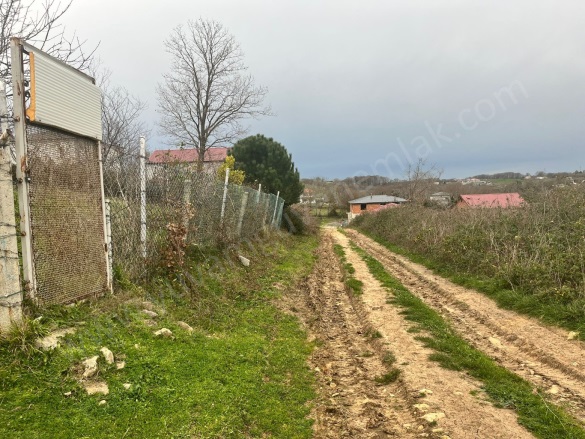 Çamkonak Mah. Kandıra Satılık Tarla |  422M2 3.200.000Tl Resim-5