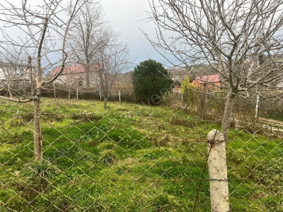 Yatırımın Ve Doğanın Buluştuğu Nokta Çamkonakta Kaçırılmayacak Satılık Tarla Kandıra Çamkonak Mah