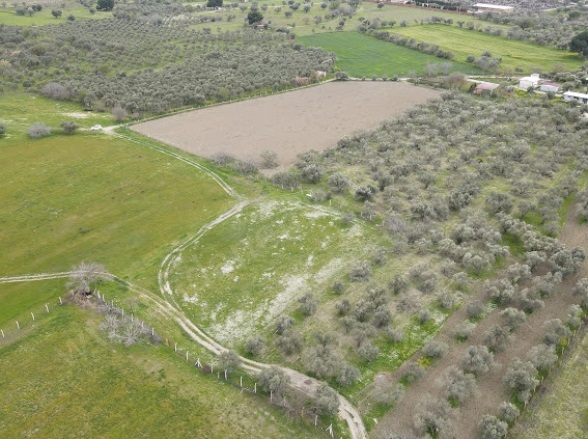 Mareşal Fevzi Çakmak Mah. Yunusemre Satılık Tarla |  10200M2 22.000.000Tl Resim-1