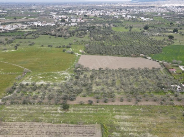 Mareşal Fevzi Çakmak Mah. Yunusemre Satılık Tarla |  10200M2 22.000.000Tl Resim-5