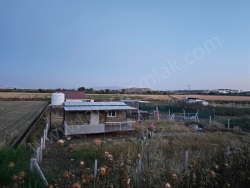 Foça Atatürk Mah. Satılık Tarla