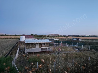  Yatırımlık Fırsat! Satılık Tarla İzmir Foça Atatürk Mah