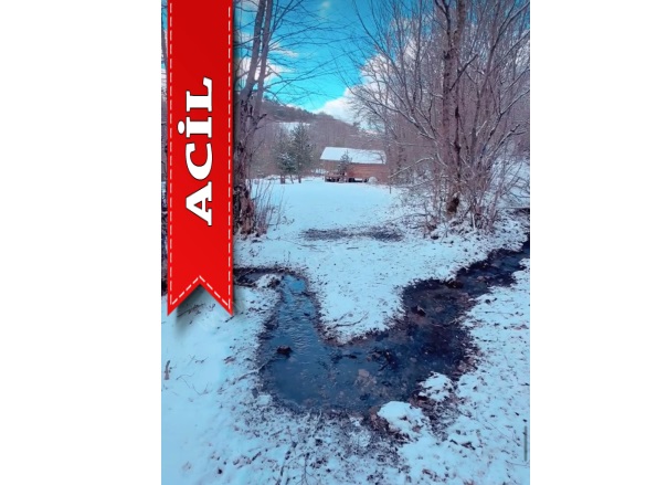 Bakacak Mah. Pamukova Acil Satılık Tarla |  2867M2 6.000.000Tl Resim-1