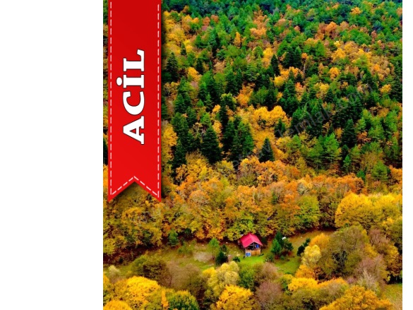 Bakacak Mah. Pamukova Acil Satılık Tarla |  2867M2 6.000.000Tl Resim-2