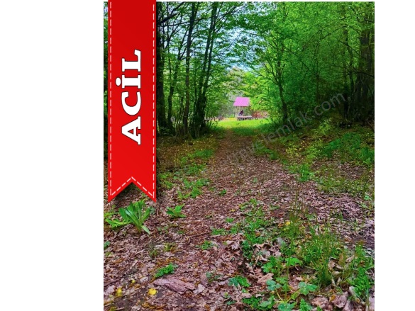 Bakacak Mah. Pamukova Acil Satılık Tarla |  2867M2 6.000.000Tl Resim-3