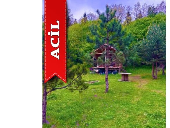 Bakacak Mah. Pamukova Acil Satılık Tarla |  2867M2 6.000.000Tl Resim-4