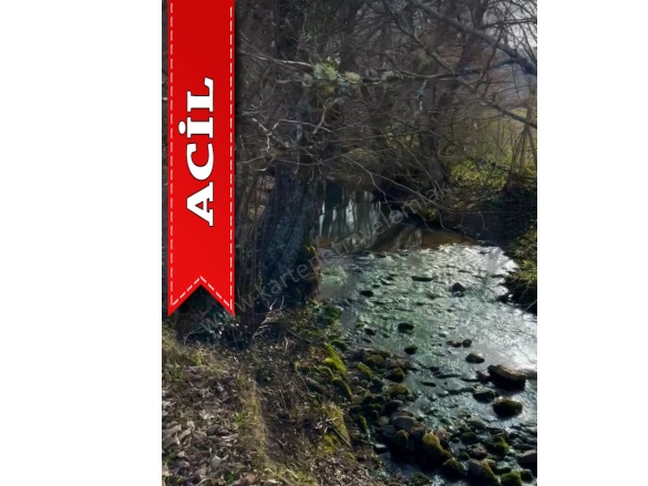 Bakacak Mah. Pamukova Acil Satılık Tarla |  2867M2 6.000.000Tl Resim-5