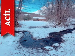 Pamukova Bakacak Mah. Satılık Tarla 2867 M2