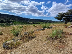 Turgutlu Çepnibektaş Mah. Satılık Bağ 4376 M2