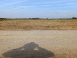 Turgutlu Subaşı Mah. Satılık Arazi 14100 M2