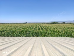 Turgutlu İstasyonaltı Mah. Satılık Bağ 18770 M2