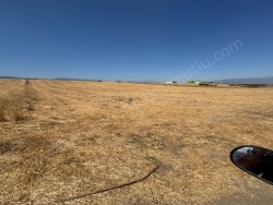 Kemalpaşa Halilbeyli Mah. Satılık Arazi 17815 M2