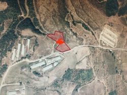 Turgutlu Ayvacık Mah. Satılık Arazi 6500 M2