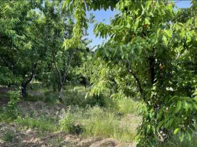 Land Kaufen In  Türkei, Manisa, Turgutlu, Cepnibektas Str. , 9000 m2