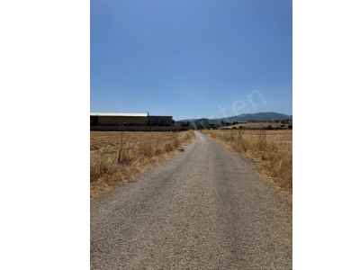 Land Kaufen In  Türkei, Izmir, Kemalpasa, Halilbeyli Str. , 17815 m2