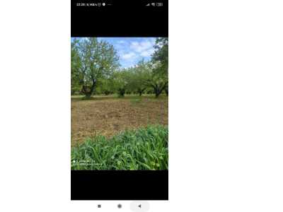  For Sale in  Turkey, Manisa, Turgutlu, Subasi neighborhood 